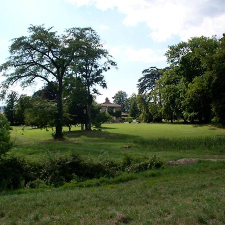 Chateau De Colombier Saint-Julien  エクステリア 写真